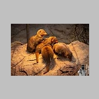 2025_03_01_OPEL_Zoo_IMG_5957.jpg